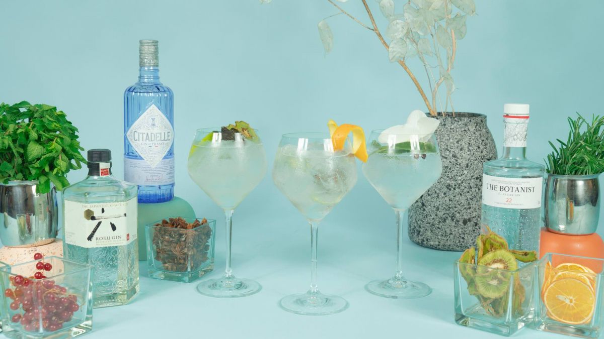 Le Gin en 3 facettes