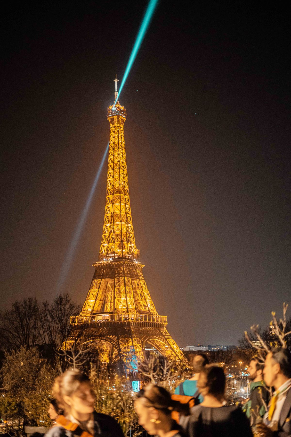 Showcasing face Tour Eiffel